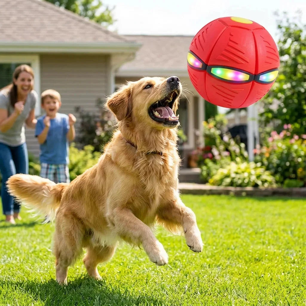 Entraîneur de Saut pour Enfants en Extérieur — photo 4